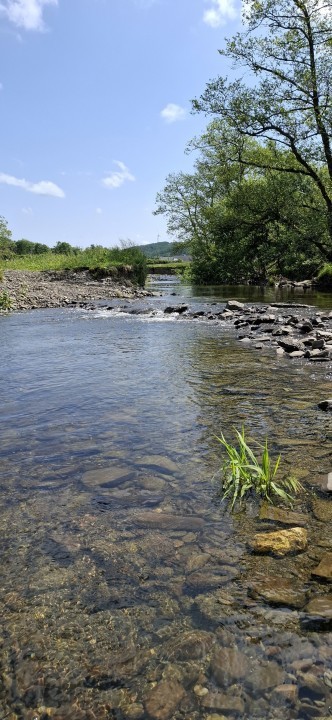 Llandewi - JA from Rhayader